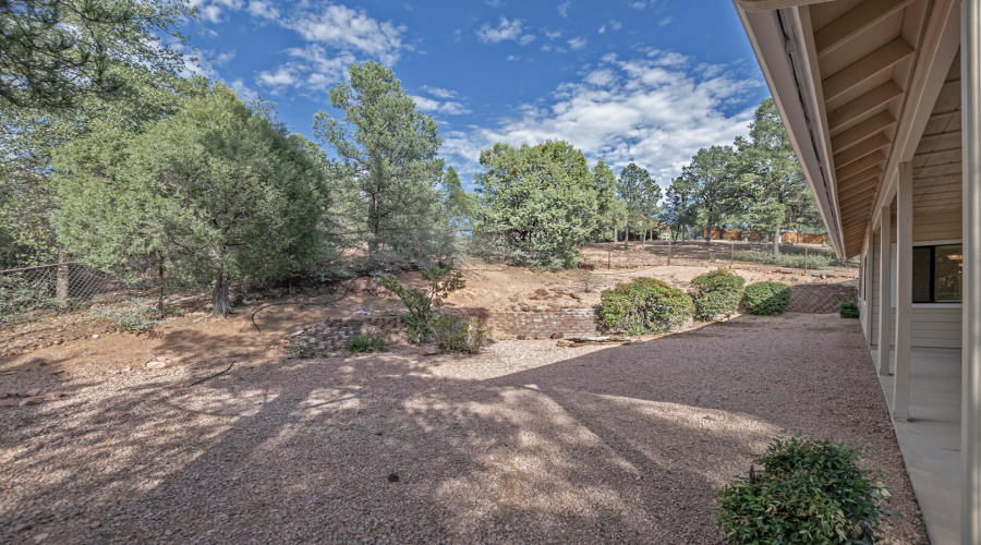 Back yard
