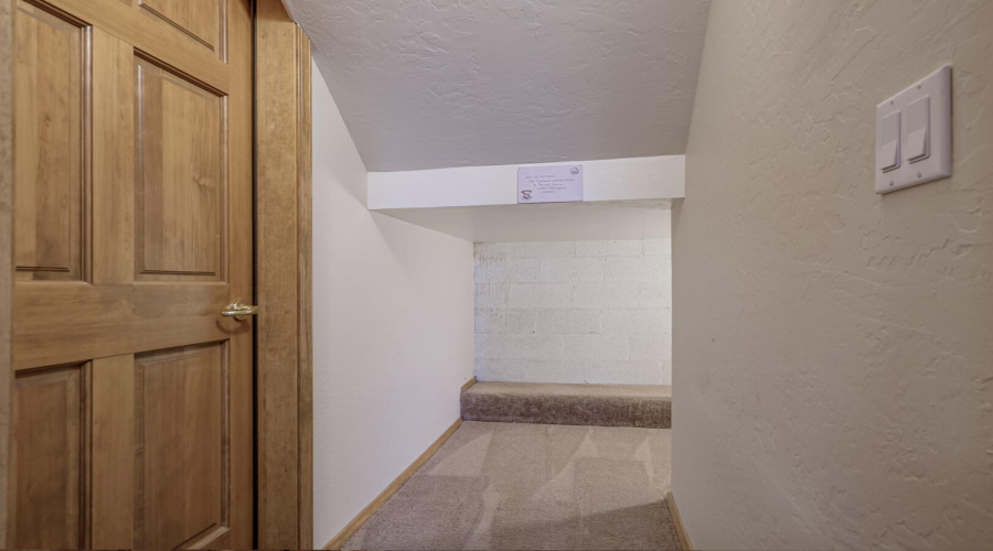 Storage underneath staircase