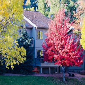 Fall
