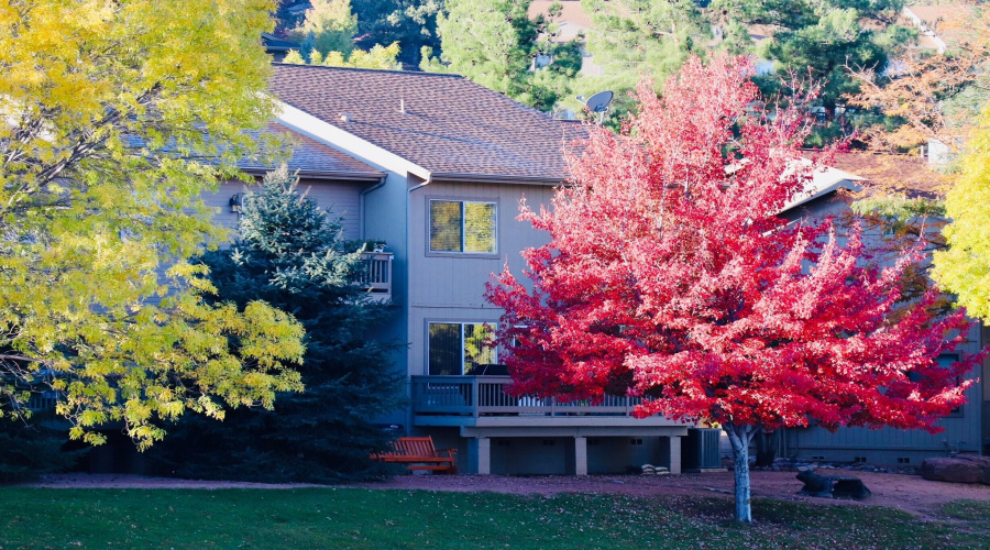 Fall