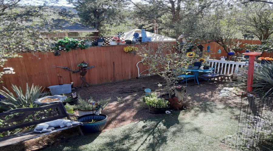 Resized_20251017_145433