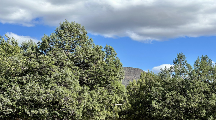 IMG_8586