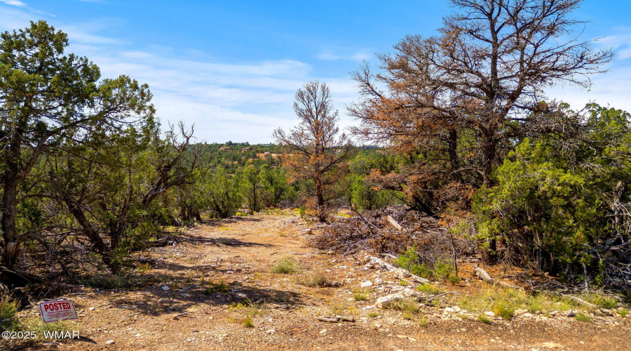 3656ZaneGreyTrl-HeberOvergaard-AZ-2