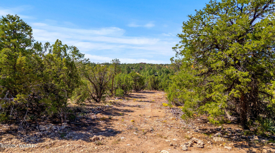 3656ZaneGreyTrl-HeberOvergaard-AZ-3