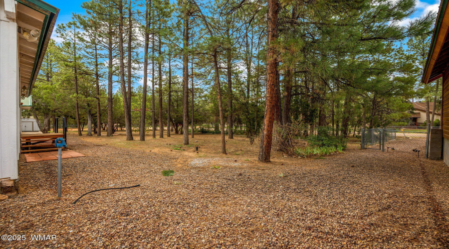 2124IndianTrail-Heber-AZ-18
