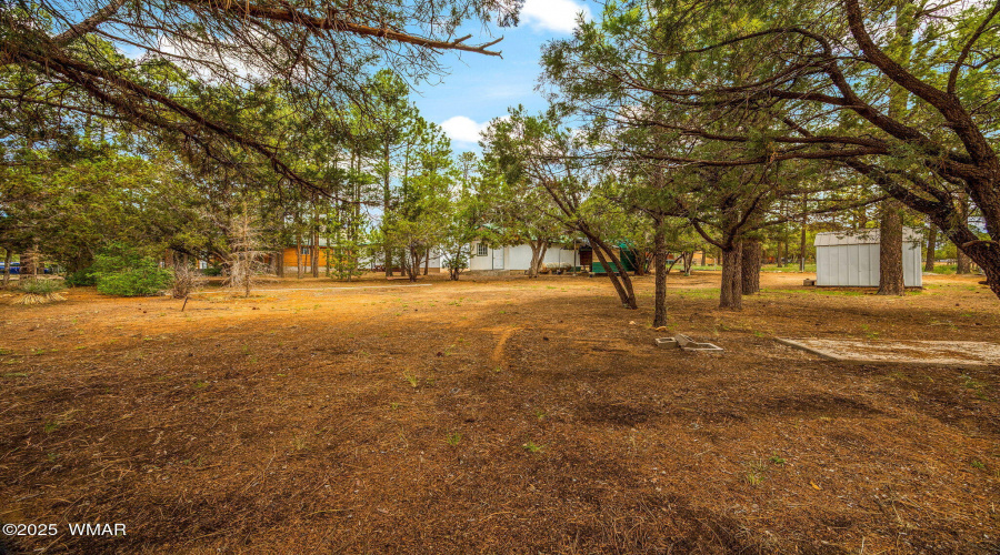 2124IndianTrail-Heber-AZ-24