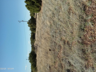 Vacant land for sale White Mountain Lake