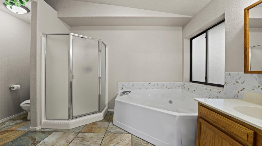 Master Bathroom (1)