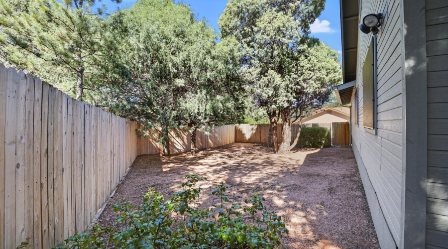Back Yard (1)