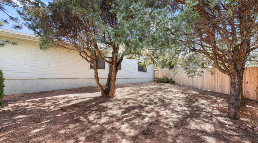 Back Yard (2)