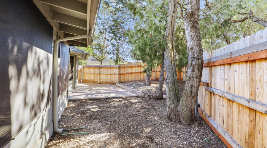 Back Yard (3)