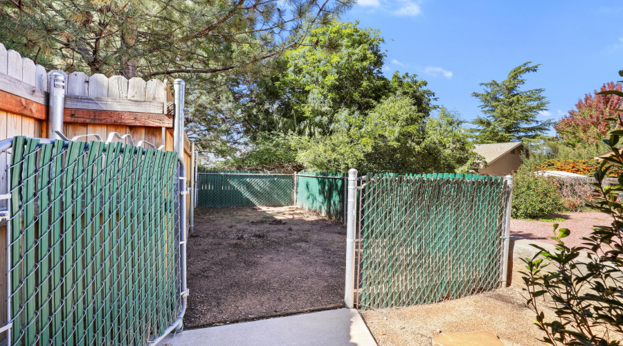 Dog Run