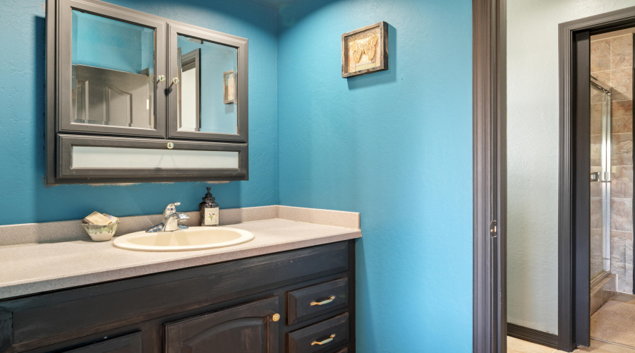 Downstairs Bathroom