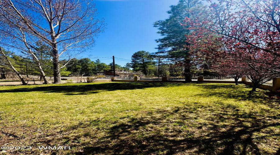 Frontyard