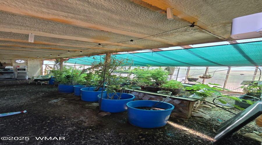 Green House