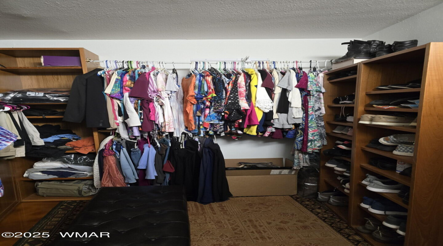 master closet 2