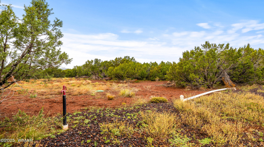 10673003A-Vernon-AZ-3