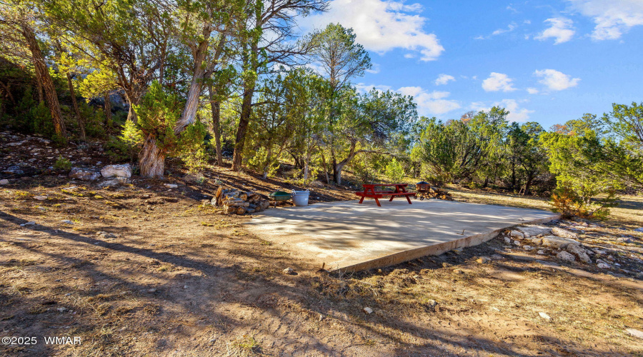 3684DiamondbackDr-HeberOvergaard-AZ-26
