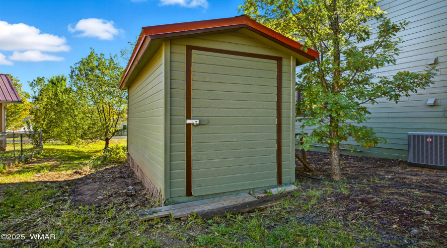 Backyard Shed