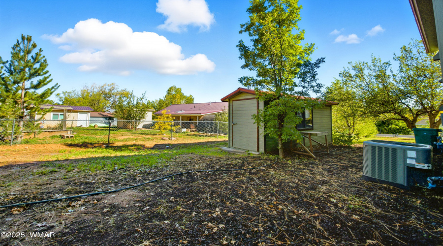 Backyard shed 2