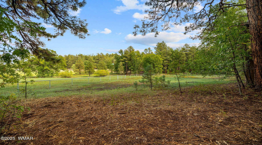 Fenced Yard Surrounded by Trees