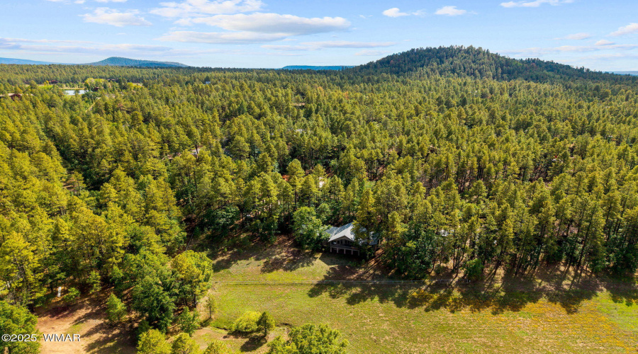 Aerial View of Community