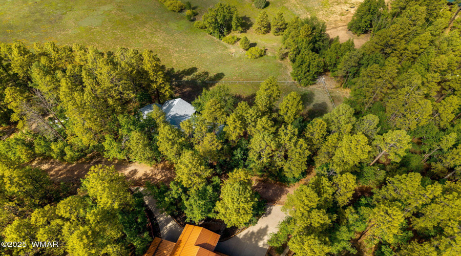 Aerial View of Home and Neighbors