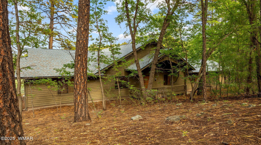 Back of Home