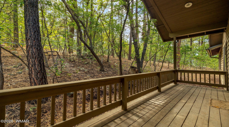 Back Deck