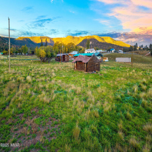 Parcel10116029-AlpineAZ-14