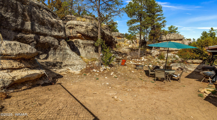 3424ButtsLn-Heber-AZ-22