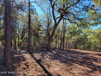 Front View of the Lot