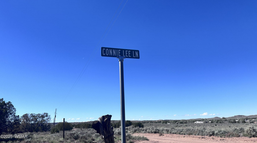 Connie Lee Lane