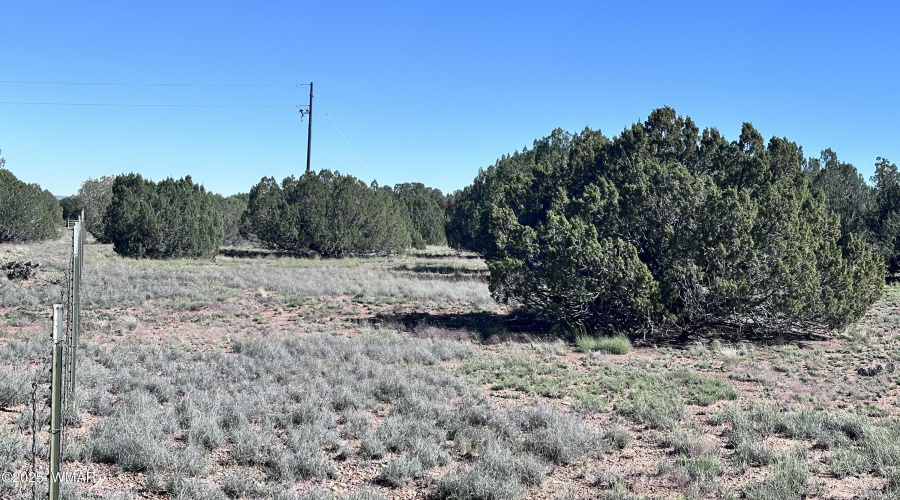 Power poles along east lot line