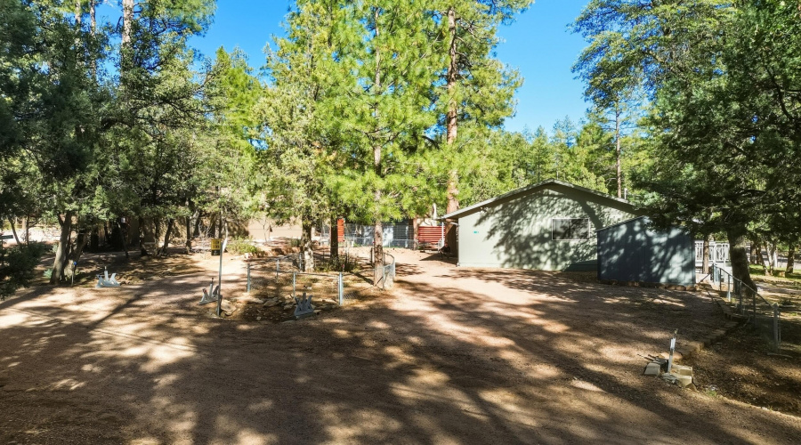 31_dji_0215