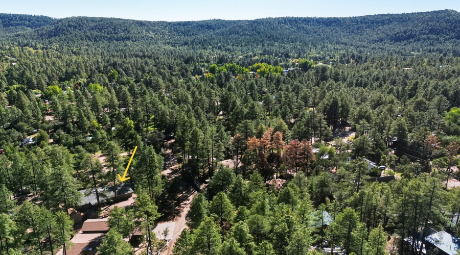 39_dji_0207