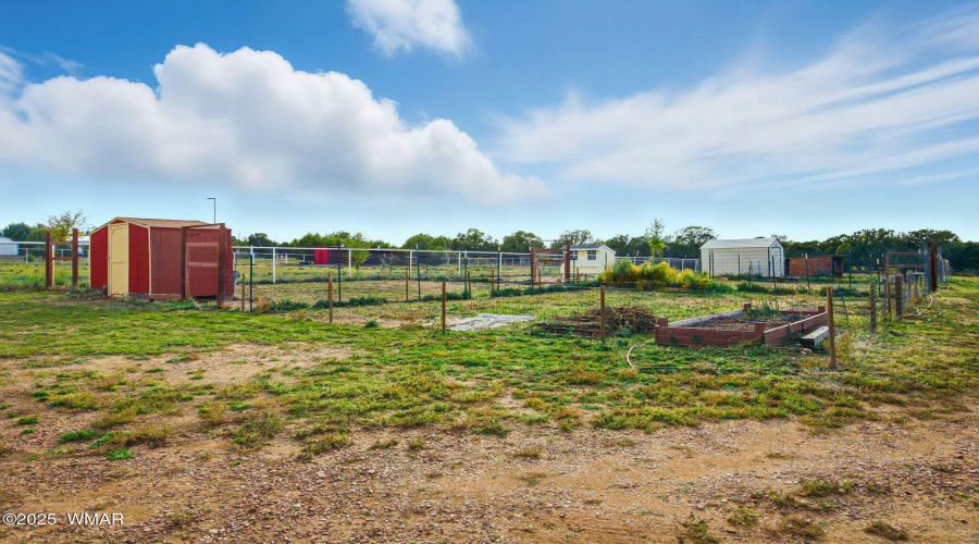Chicken  coop and animal pens