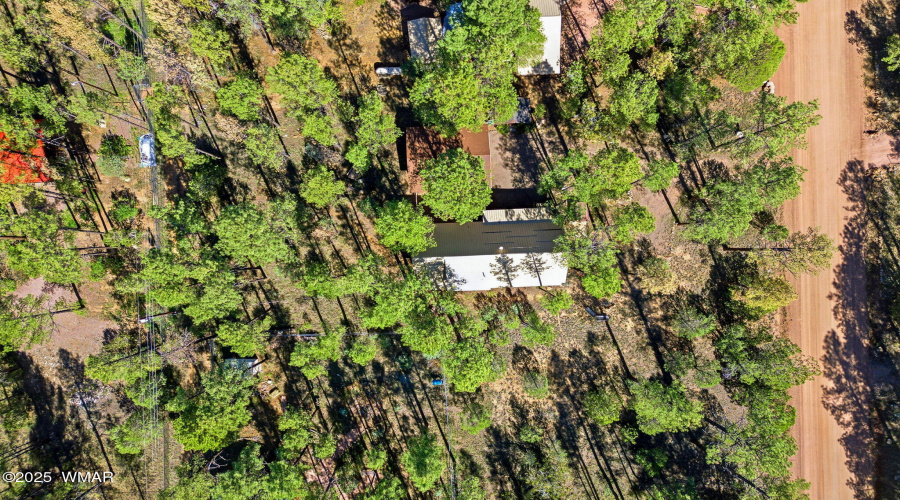 2890WildcatTrail-HeberOvergaardAZ-31