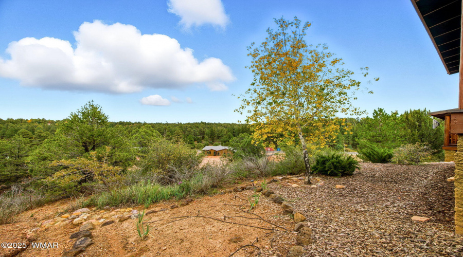 1921NBisonTrail-ShowLow-AZ-22