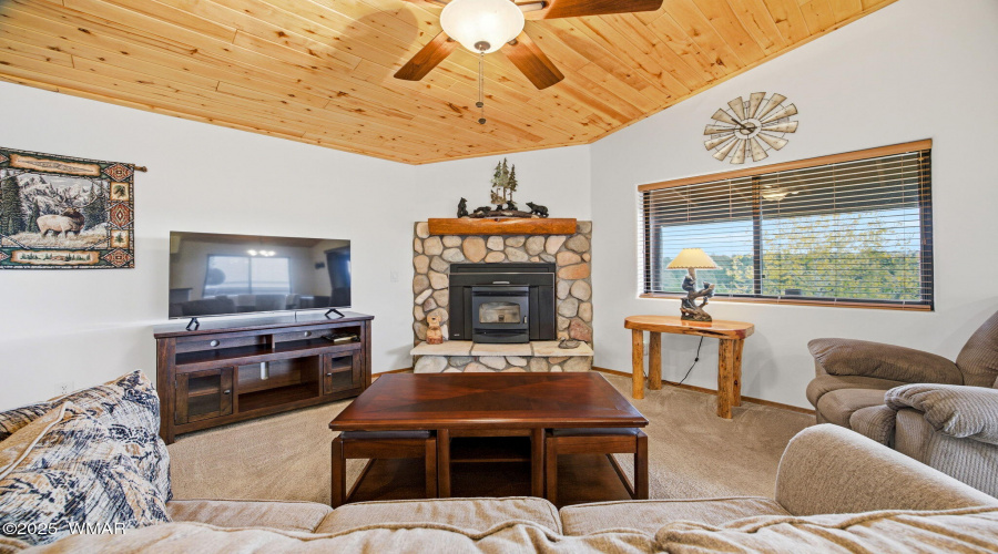 Pellet Fireplace