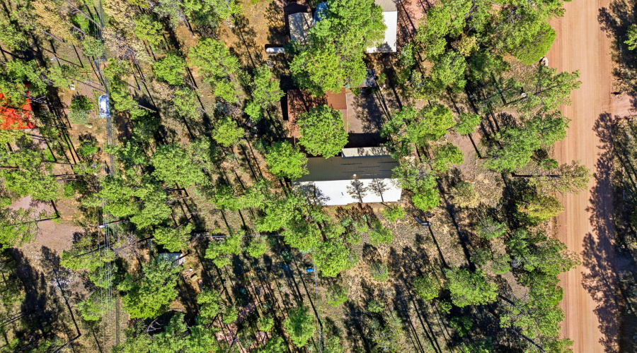 2890WildcatTrail-HeberOvergaardAZ-31