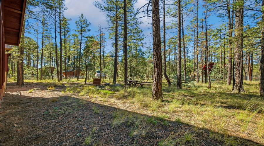 2890WildcatTrail-HeberOvergaardAZ-22