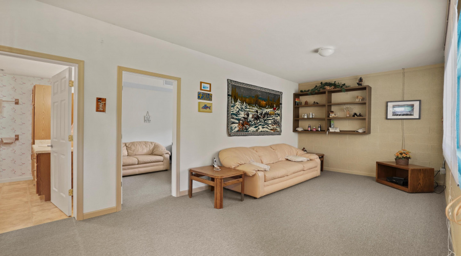 Lower Living Area