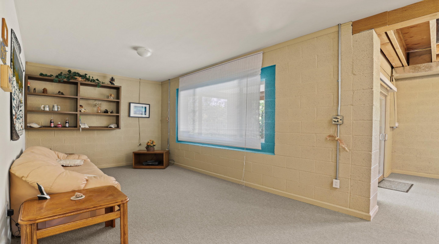 Lower Living Area