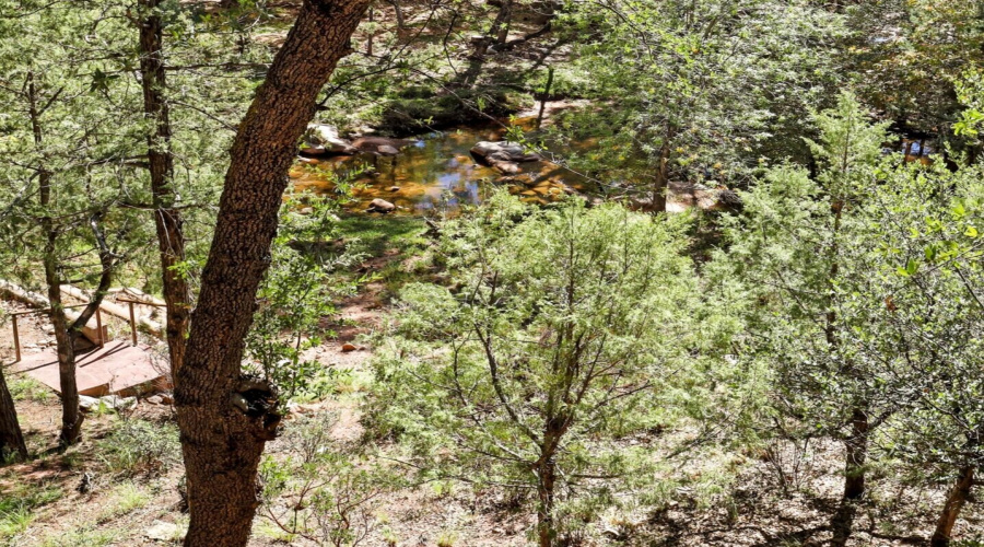 View of River from Deck