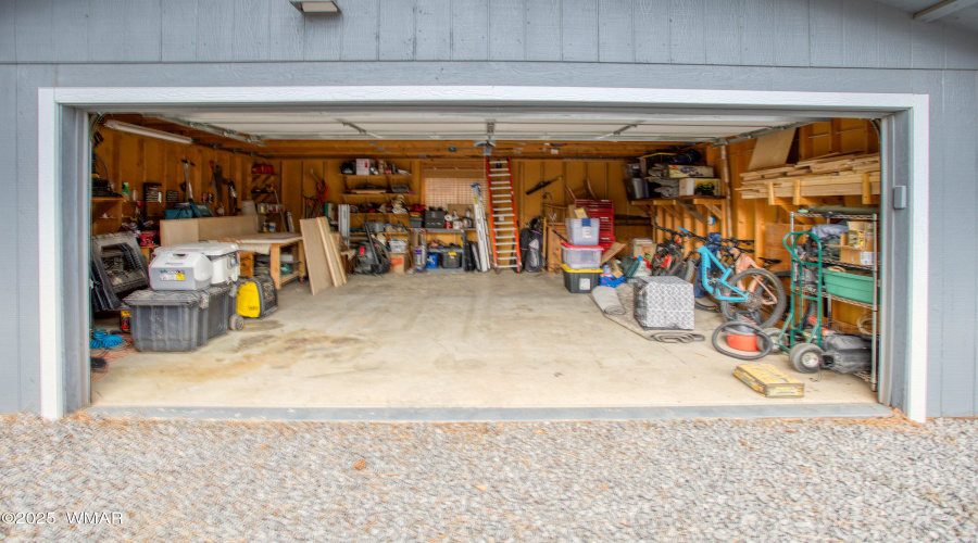 Paxmanphoto_PAX_8192