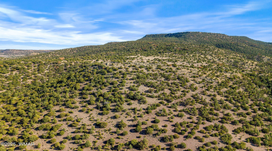Parcel10423002GFEC-EagarAZ-12