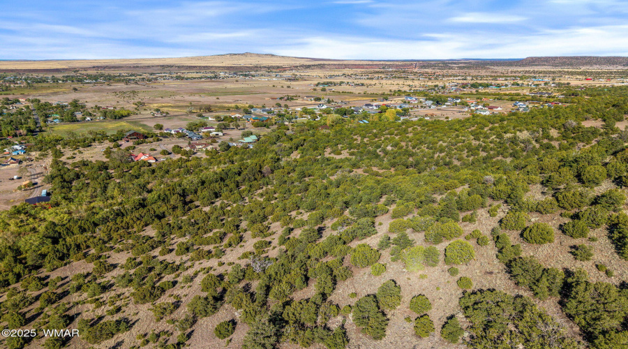 Parcel10423002GFEC-EagarAZ-13