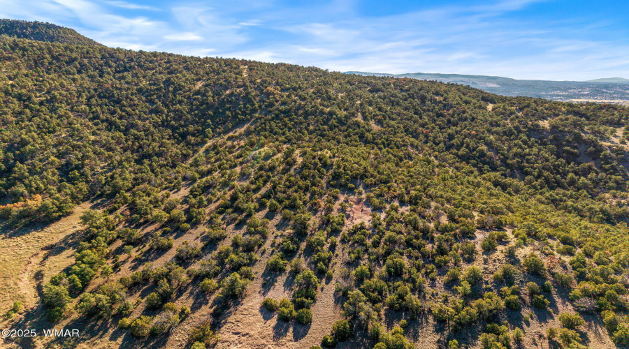 Parcel10423002GFEC-EagarAZ-4