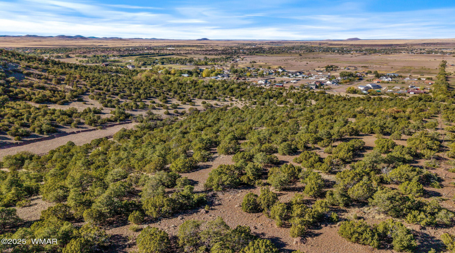Parcel10423002GFEC-EagarAZ-5